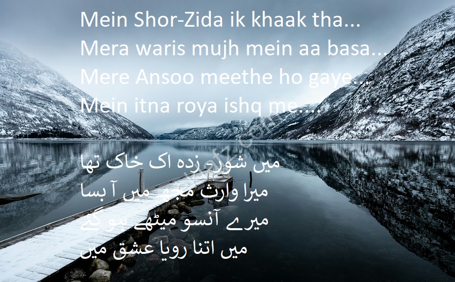 Mein shor zida ek khaak tha