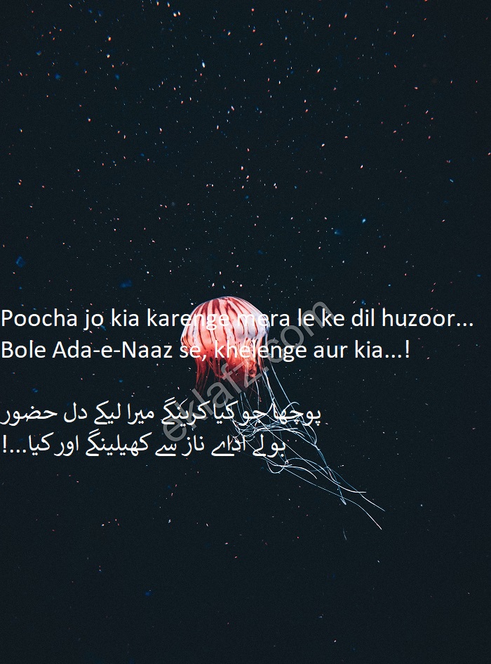 Poocha jo kia karenge mera le ke dil huzoor