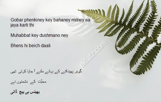 Gobar phenkiney key bahaney