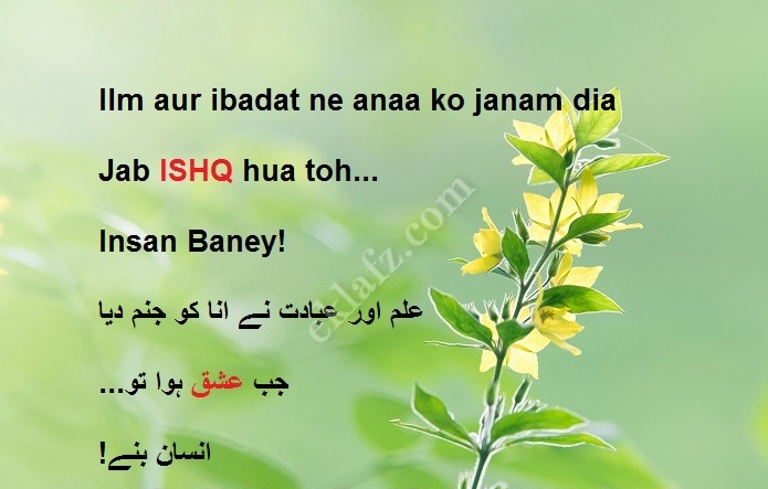 Ilm aur ibadat ne annaa ko janam diya