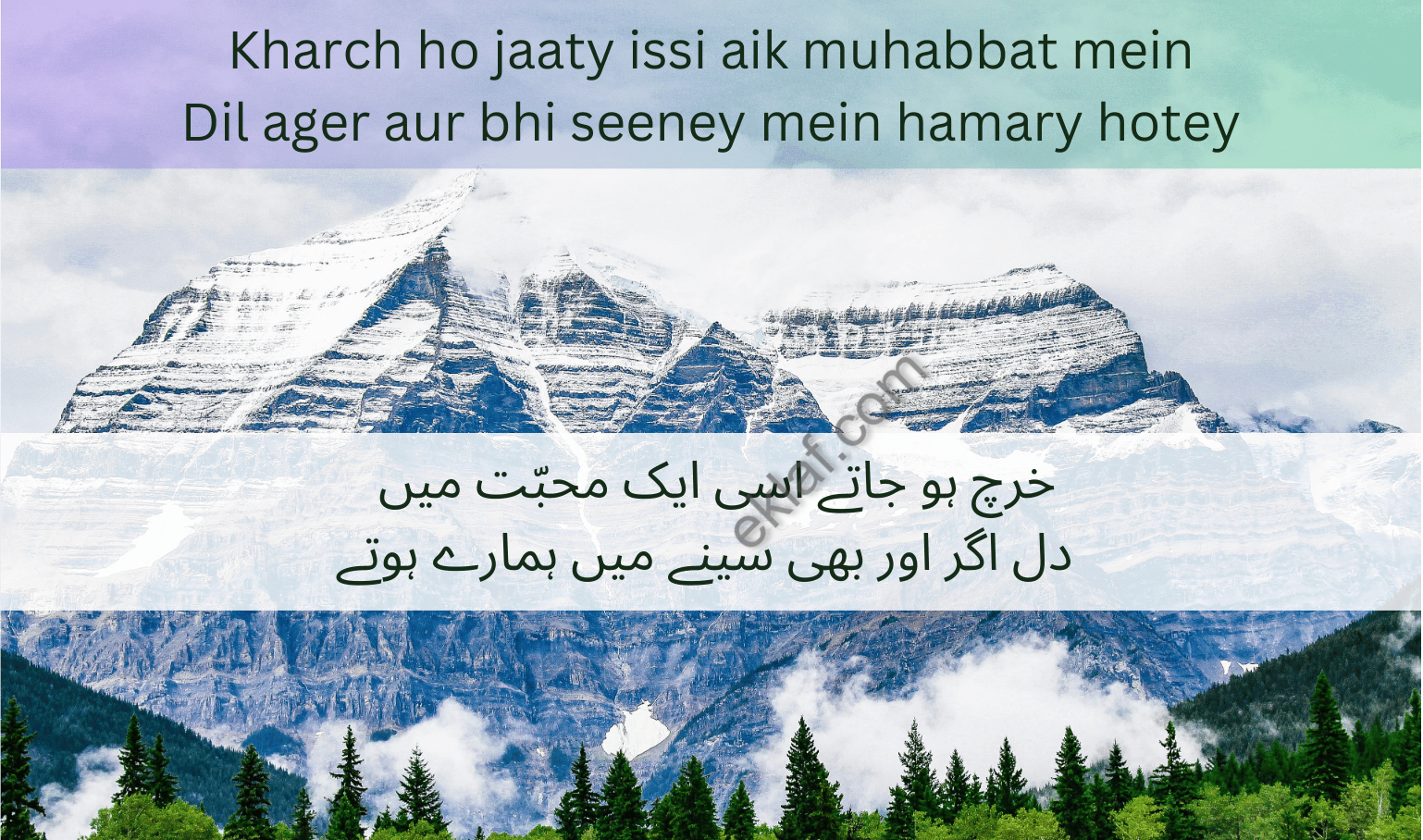 Kharch ho jaaty issi aik muhabbat mein Dil ager aur bhi seeney mein hamary hotey (2)