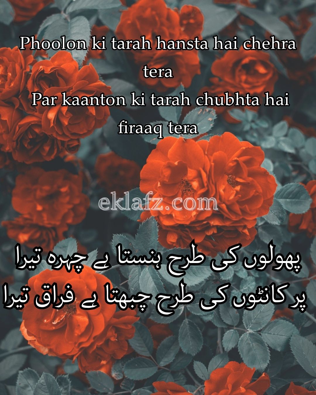 Phoolon ki tarah hansta hai chehra tera