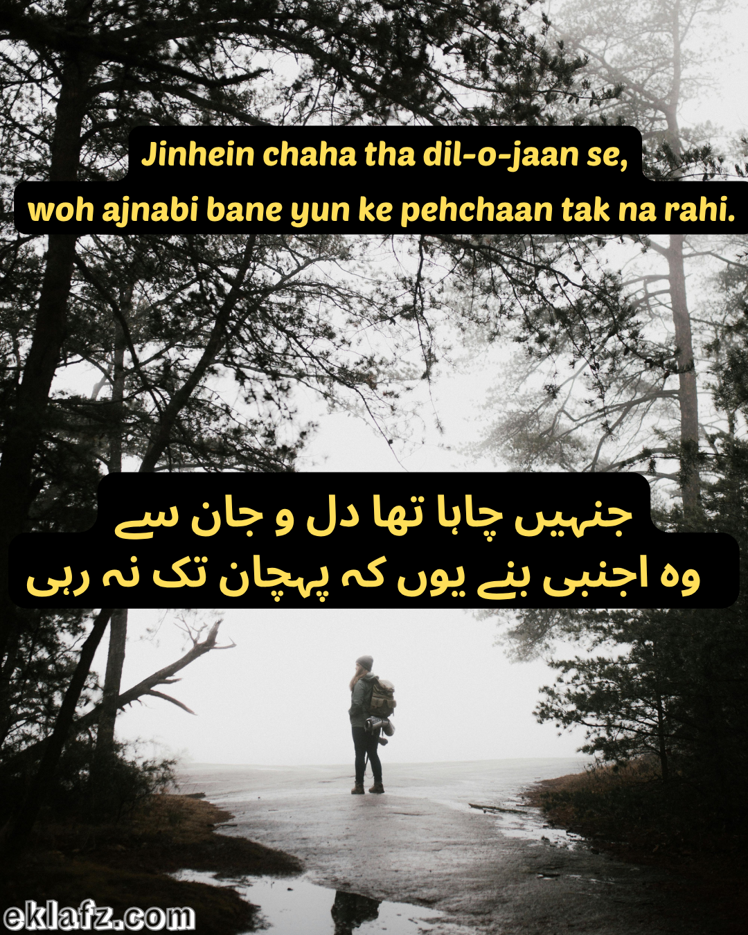 Jinhein chaha tha dil-o-jaan se