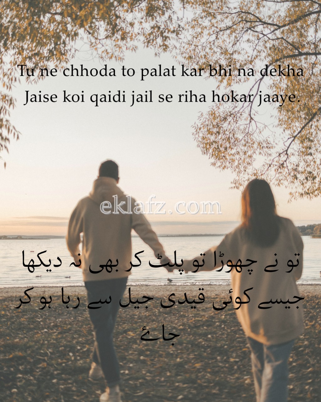 Tu ne chhoda to palat kar bhi na dekha