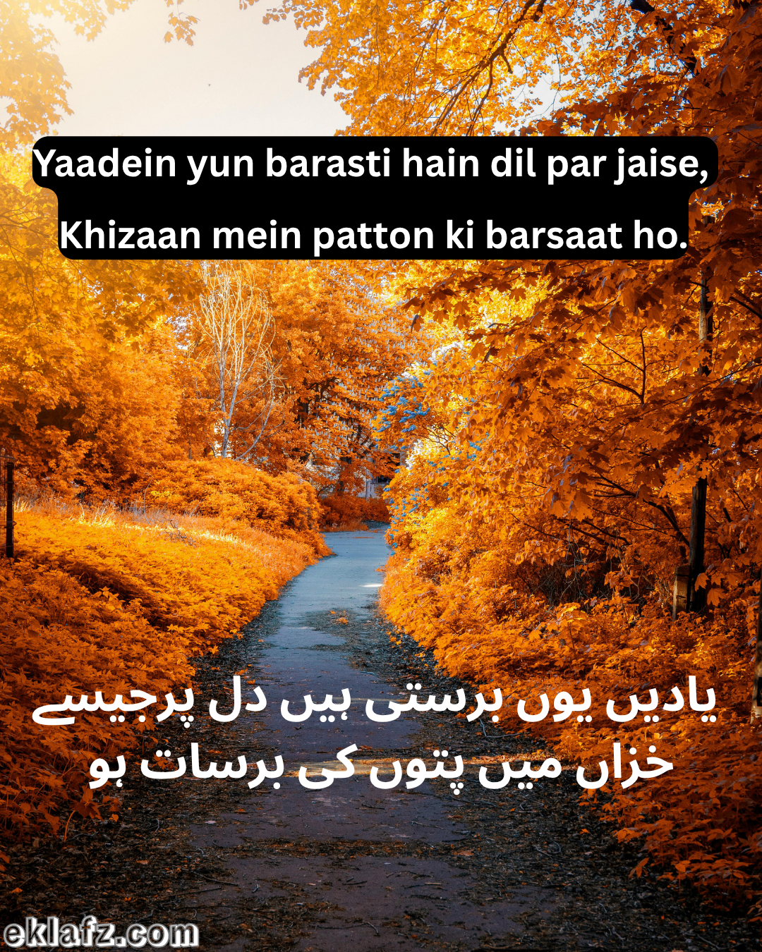 Yaadein yun barasti hain dil par jaise.
