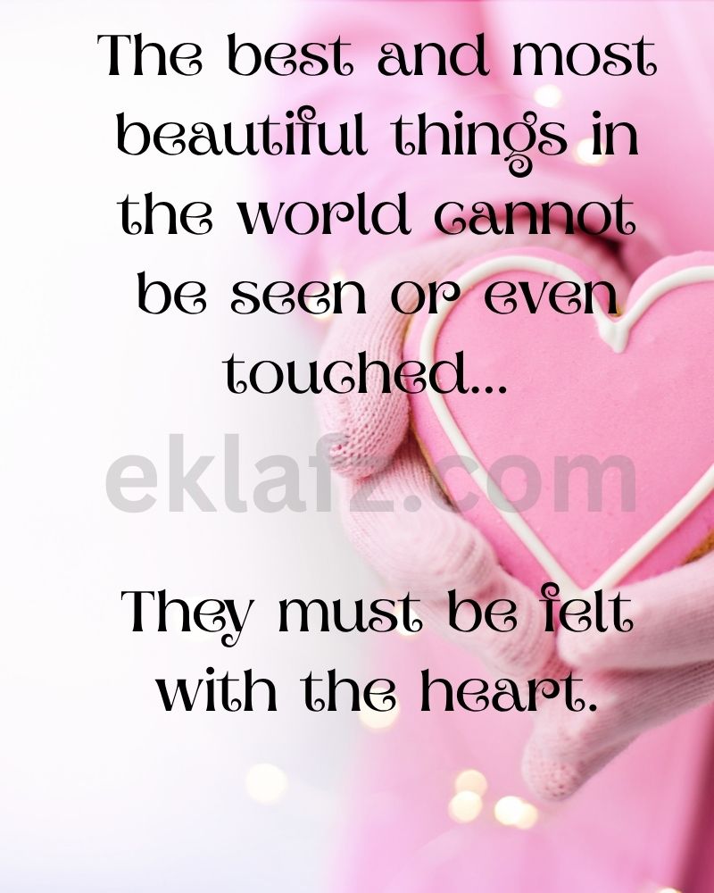 The best and most beautiful things in the world cannot be seen or even touched