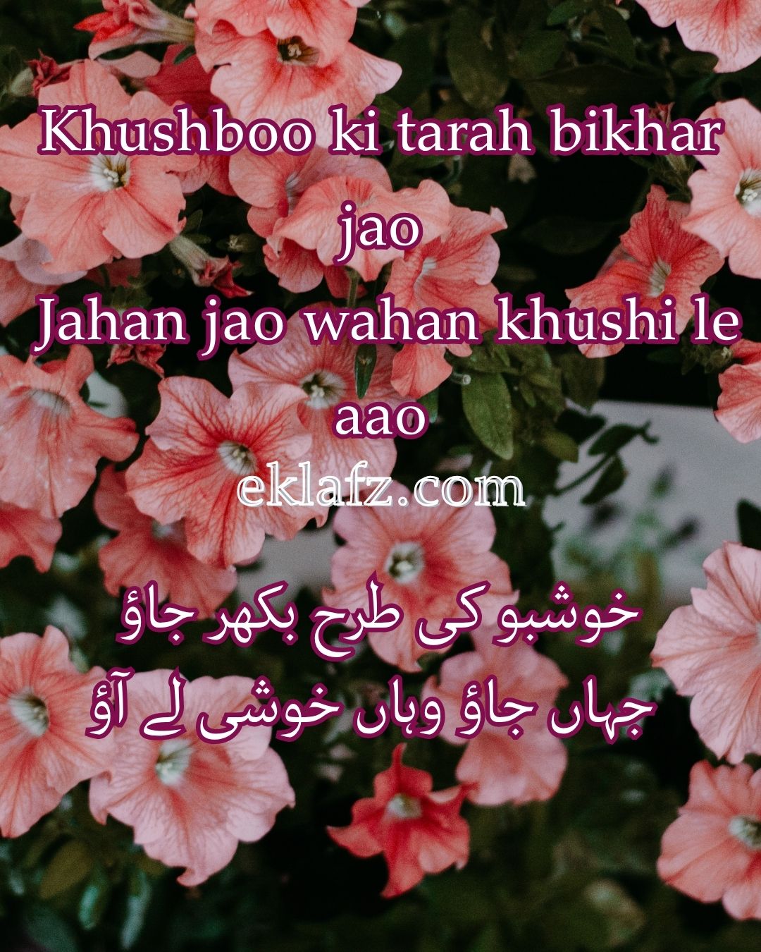 Khushboo ki tarah bikhar jao