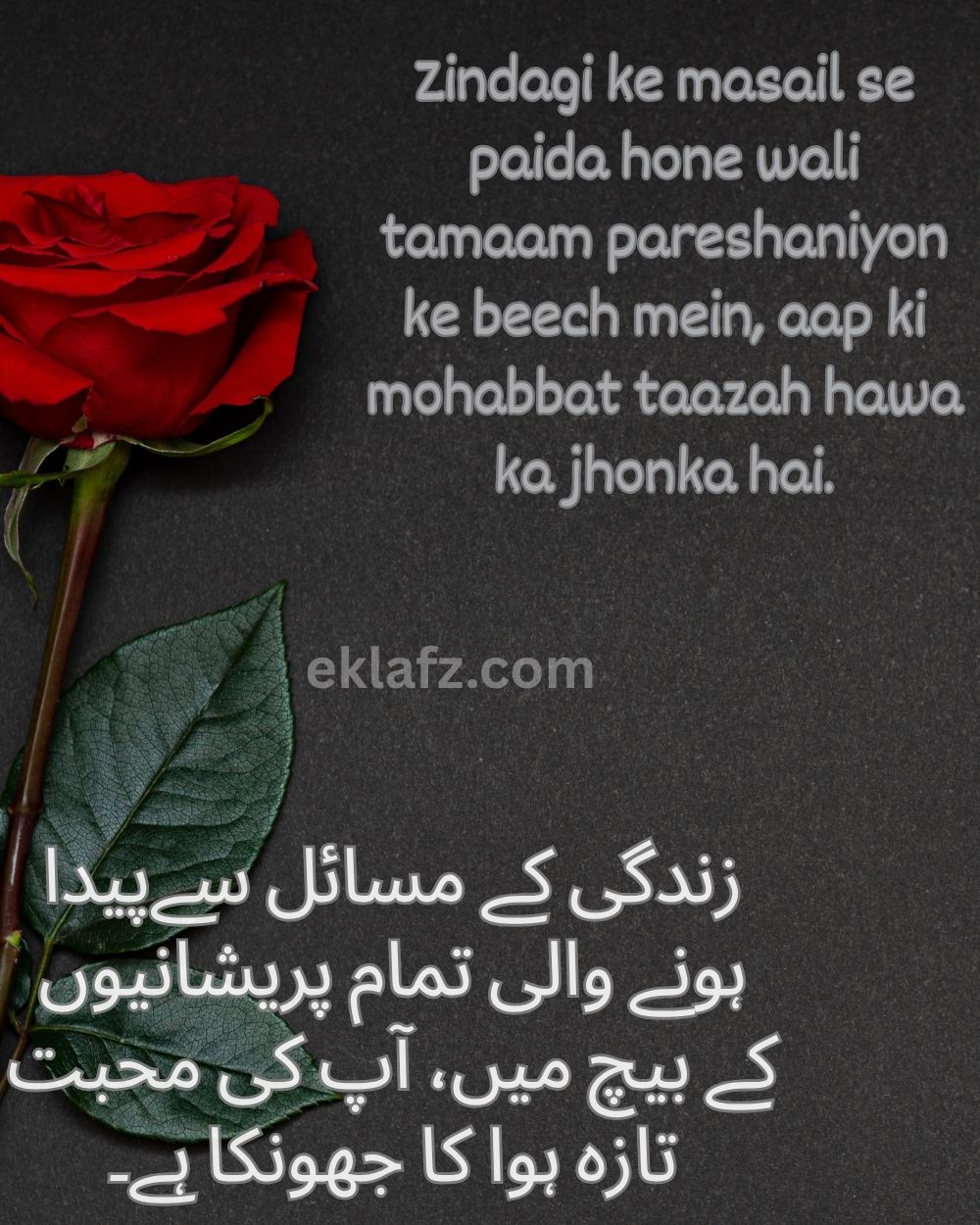Zindagi ke masail se paida hone wali tamaam pareshaniyon ke beech mein