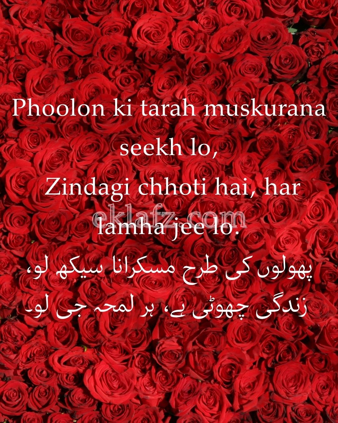 Phoolon ki tarah muskurana seekh lo,