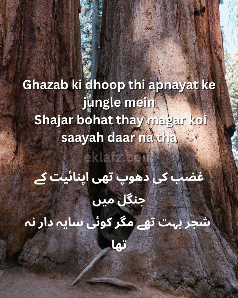 Ghazab ki dhoop thi apnayat ke jungle mein