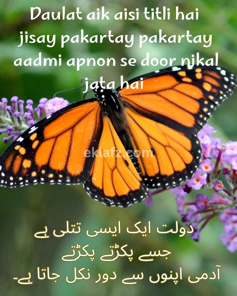 Daulat aik aisi titli hai