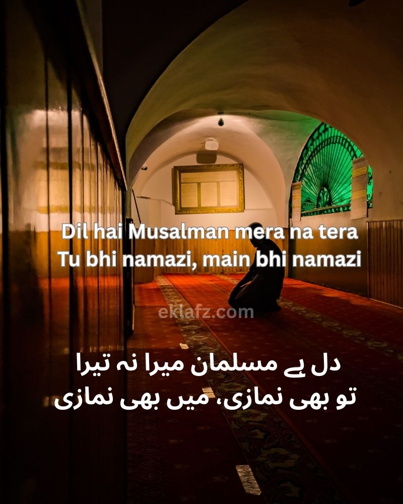 Dil hai Musalman mera na tera