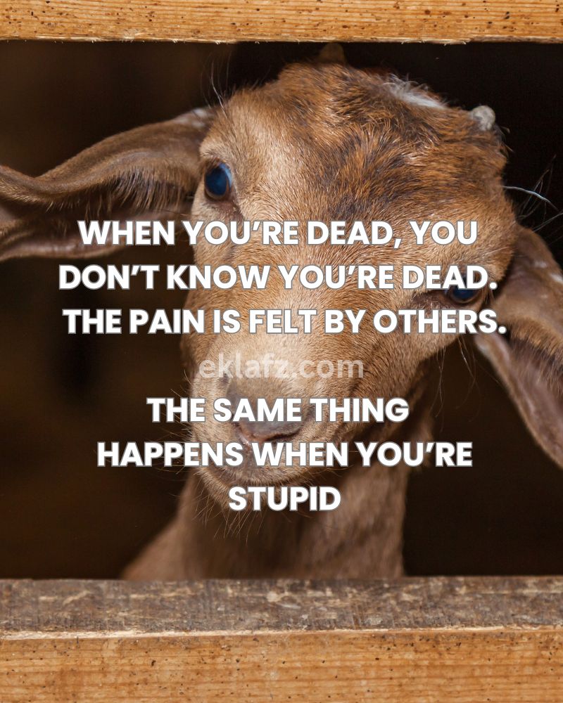 When you're dead