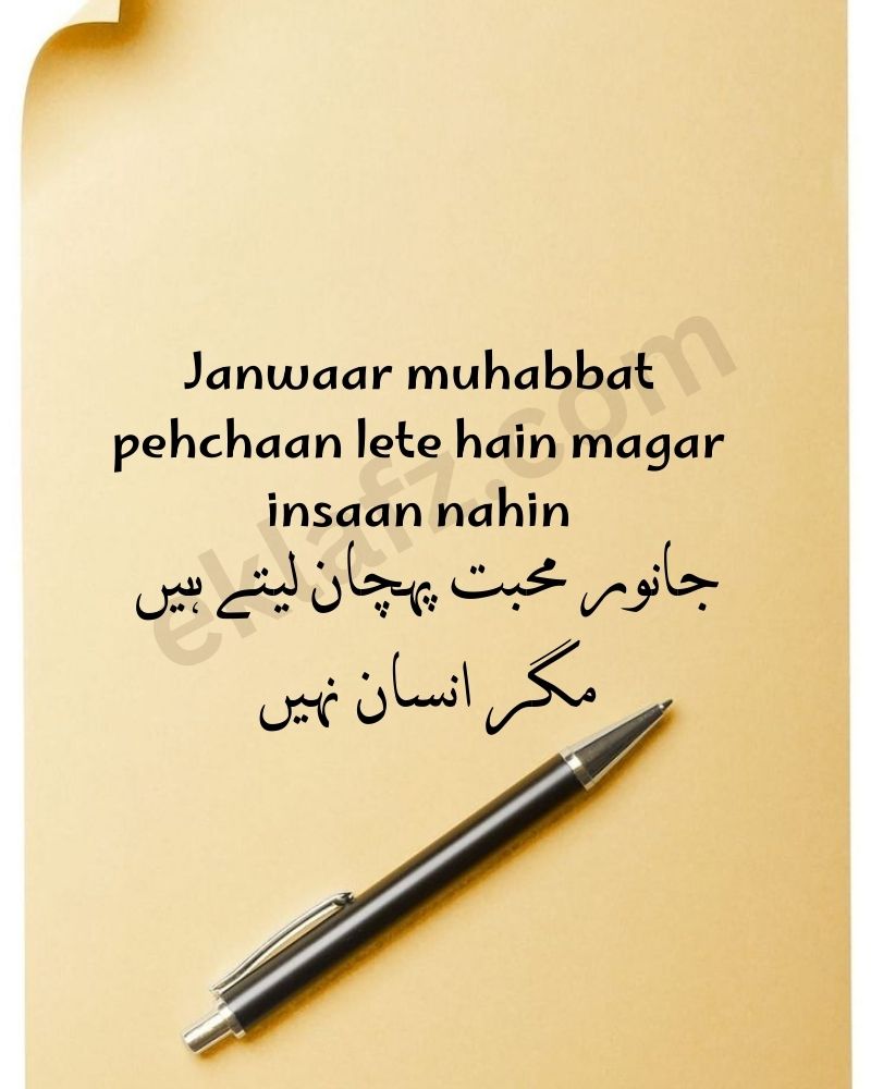 Janwaar muhabbat pehchaan lete hain magar insaan nahin