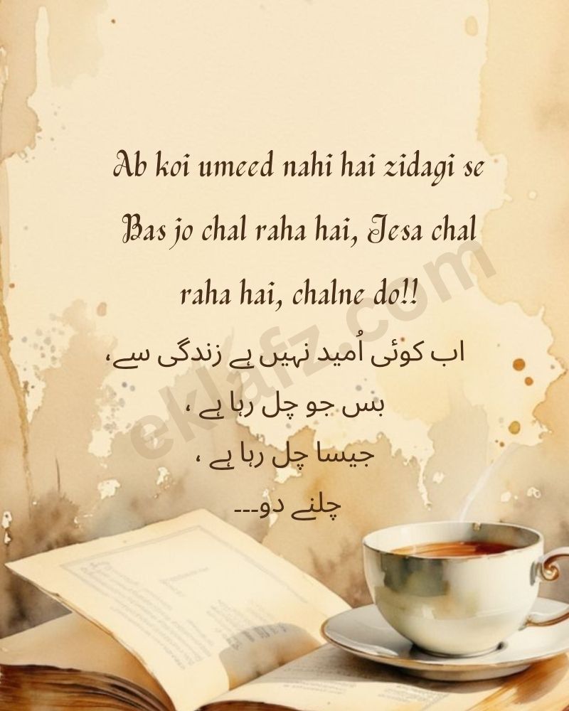 Ab koi umeed nahi hai zidagi se