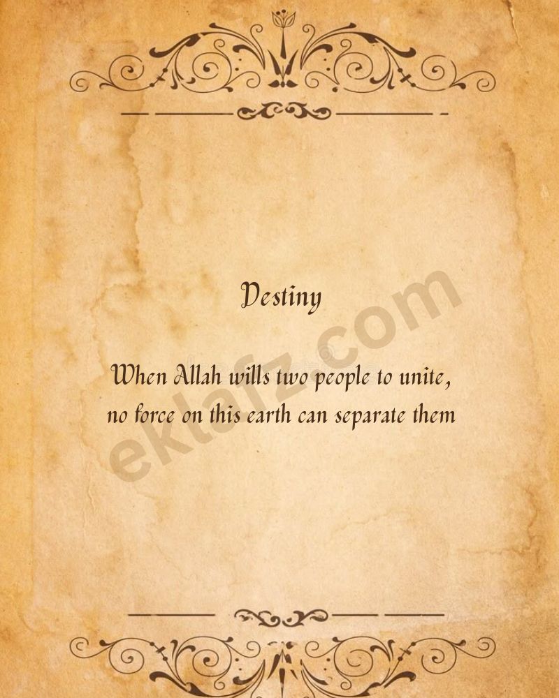 Destiny