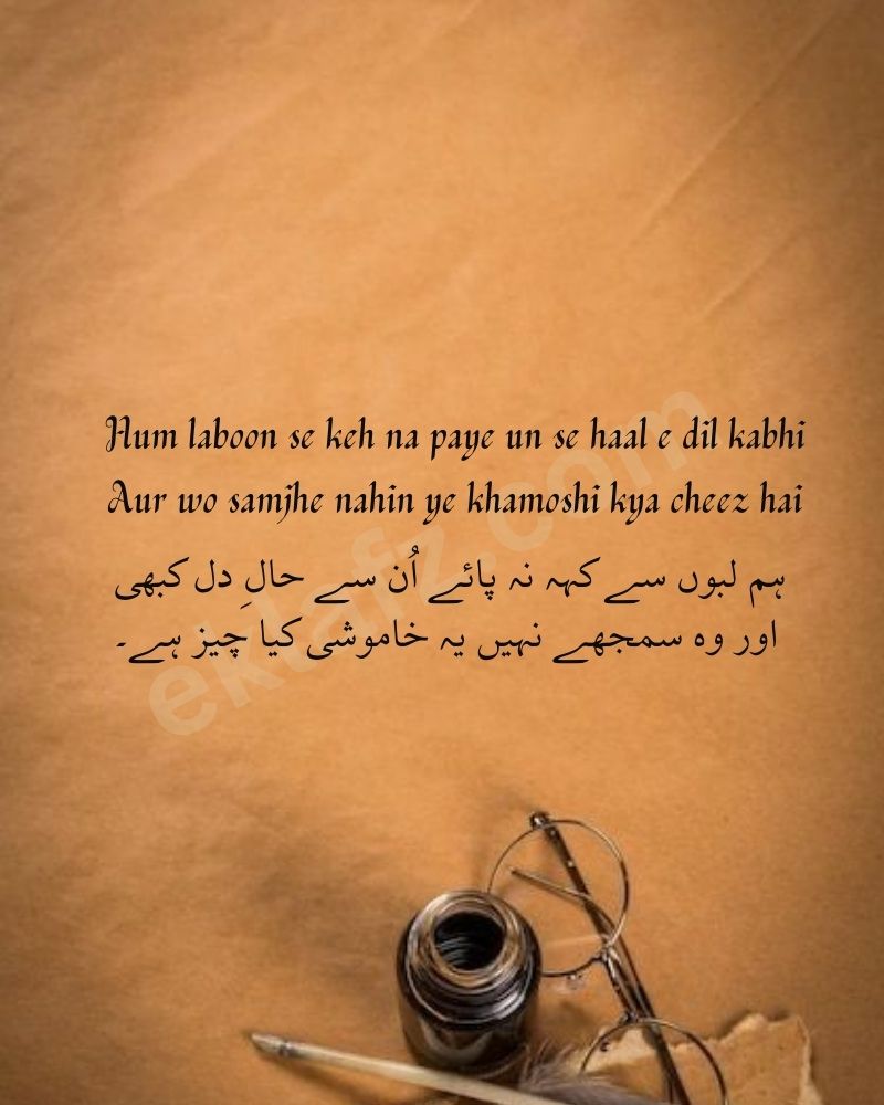 Hum laboon se keh na paye un se haal e dil kabhi