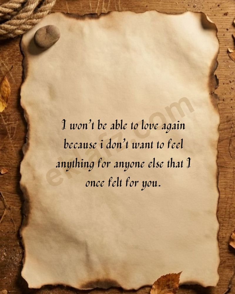 I won’t be able to love again