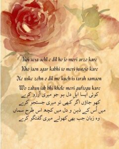 Koi aesa aehl e dil ho jo meri arzo kare