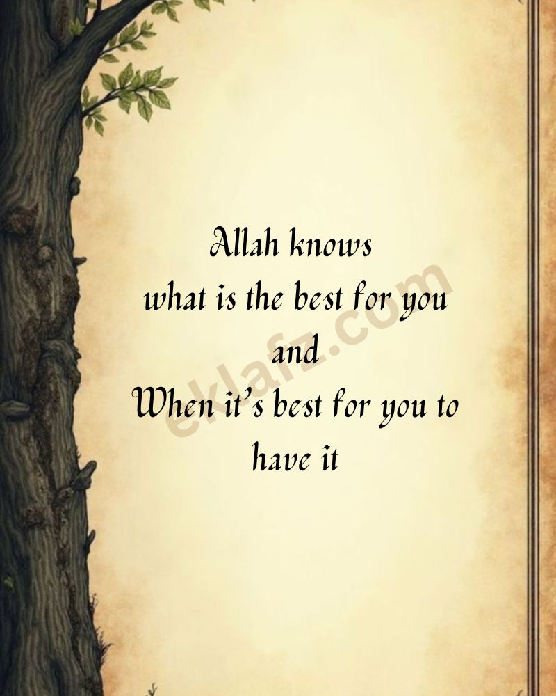 Allah knows
