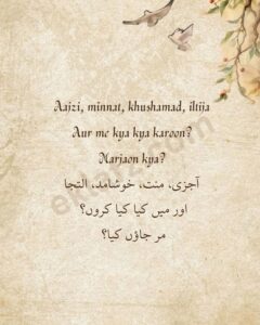 Aajzi minnat khushamad iltija