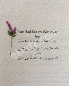 Haath khaali hain tere shehr se jaate jaate