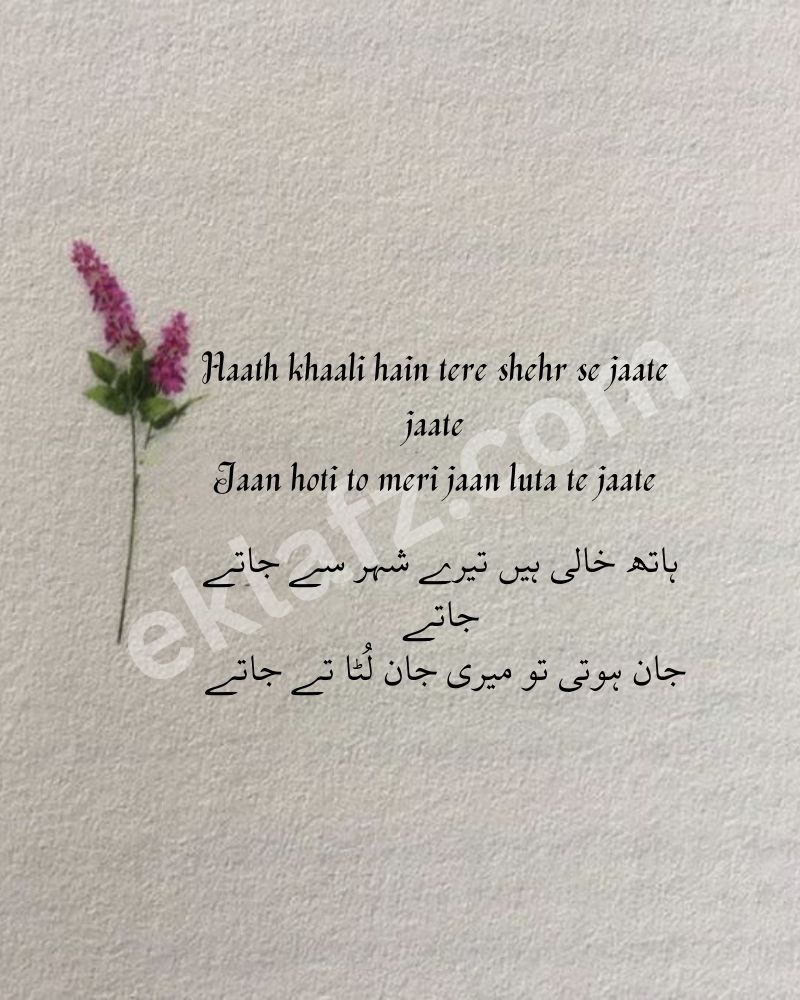 Haath khaali hain tere shehr se jaate jaate