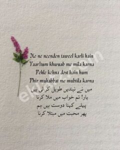 Me ne neenden taweel karli hain