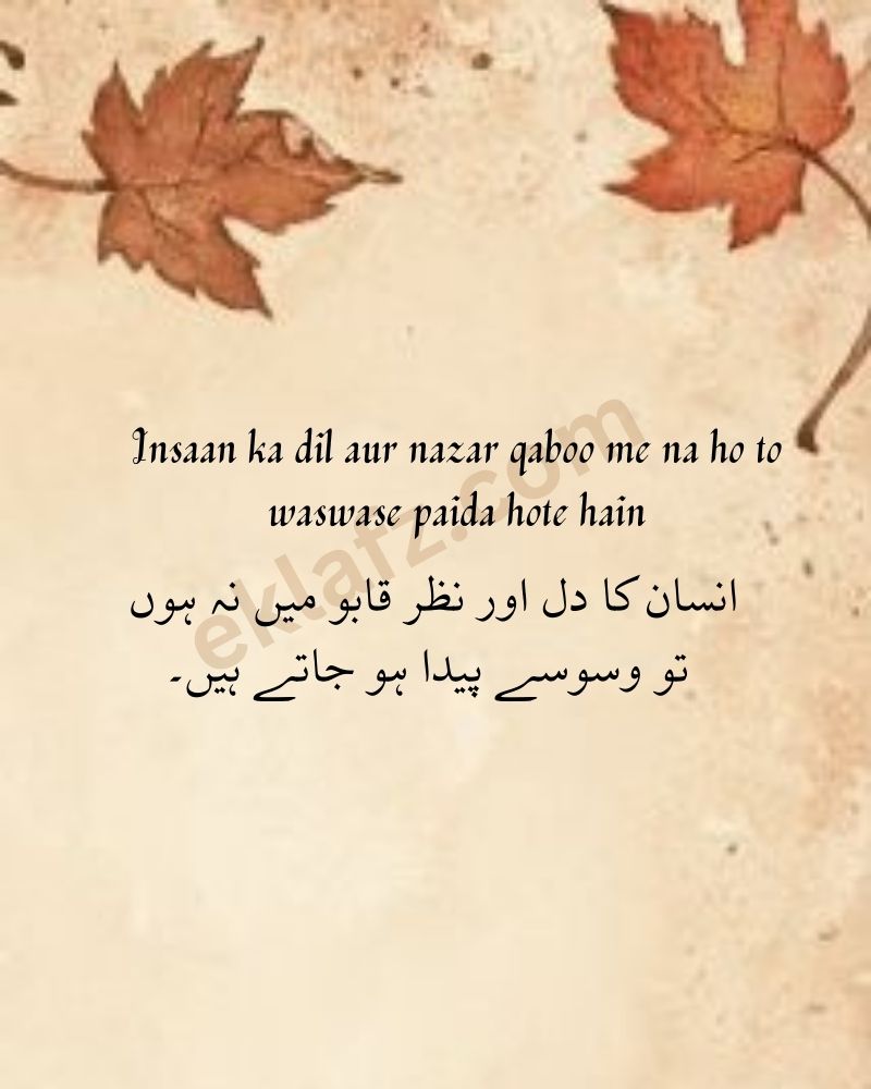 Insaan ka dil aur nazar