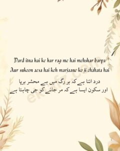 Dard itna hai ke har rag me hai mehshar barpa