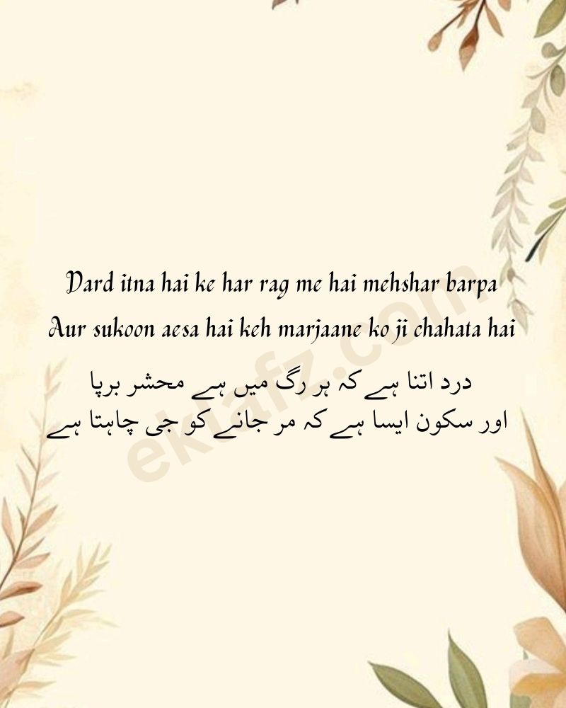 Dard itna hai ke har rag me hai mehshar barpa