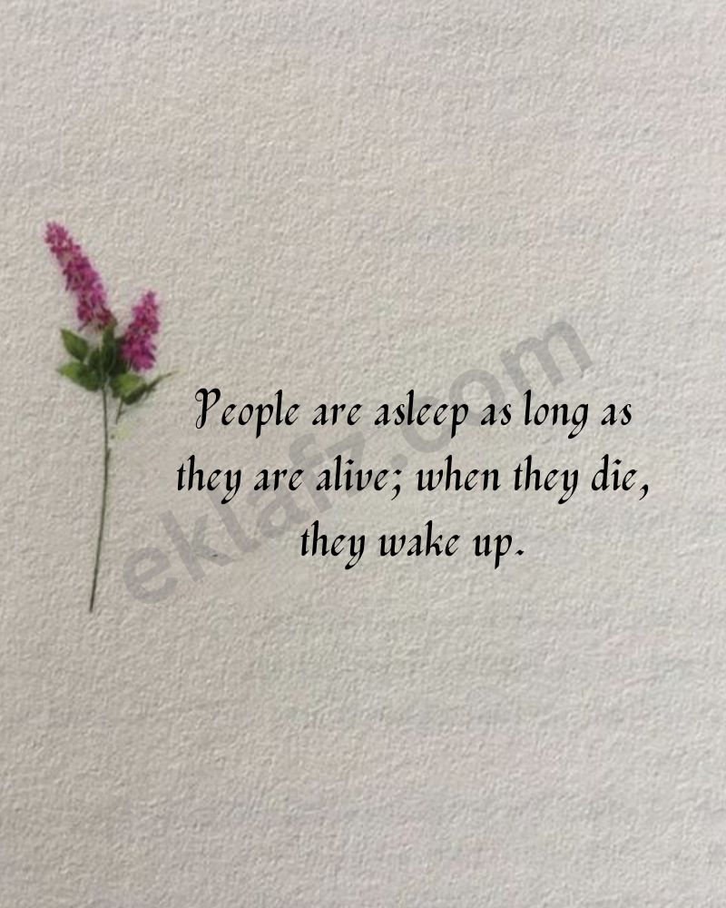 People are asleep as long as they are alive